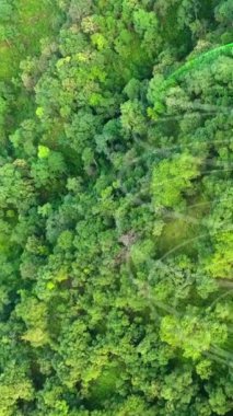Gelecekteki çevresel koruma ve sürdürülebilir ESG modernizasyon gelişimi, yenilenebilir kaynak teknolojisini kullanarak kirliliği ve karbon emisyonunu azaltmak için .