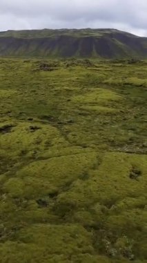 İzlanda, Avrupa 'daki yosunlu lav sahasının havadan görünüşü.