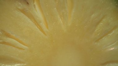 Ananas dilimi, tazelik hissi yaratıyor. Dilimlenmiş bir ananasın yakından bakınca tropik bir cennet ortaya çıkıyor. Güneş tarafından öpülen sarı altın et, pürüzsüz kahverengi kabuğa zıt düşer. Geliştirilebilir.