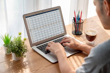 Bilgisayar ekranındaki muhasebe yazılımı finansal hesap tablolarını ve kurumsal iş dengelerini gösteriyor. Muhasebeciye iyi bir muhasebe sunuyor.