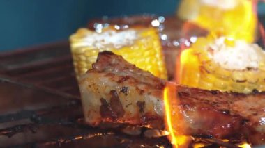 Aile yıldönümünü bahçede kutluyor. Akşam yemeği için aile üyesi ızgara yemek. Açık hava kamp aktivitesi lezzetli yiyeceklerle rahatlamak ve nesiller arası tatlı akrabalarla vakit geçirmek. Uyumsuzluk.