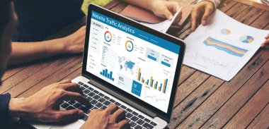 Computer software for website traffic analytics data on computer screen. Concept of SEO search engine optimization and customer targeting for online business snugly