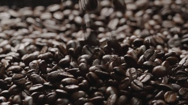 Close up of falling coffee bean with black background. Slow motion. Abstract of roasted coffee fall down with pile of coffee bean ready for making coffee brewing method or ingredients. Comestible.