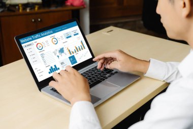 Computer software for website traffic analytics data on computer screen. Concept of SEO search engine optimization and customer targeting for online business snugly