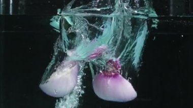 Taze kırmızı soğan ve kırmızı soğan dilimleri ayrı siyah arkaplan ile suya dökülüyor. Siyah arka planda yüksek hızlı fotoğrafçılık. Yemek ve tazelik. Pabulum.