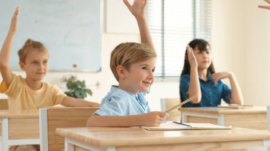 Sınıfta okuyan çeşitli çocuklarla çevrili beyaz bir çocuk öğretmenine soru sorup cevap verdiği için elini kaldırıyor. Mutlu öğrenci birlikte çalışıyor, oy veriyor, gönüllü oluyor, hocayı arıyor. Pedagoji.