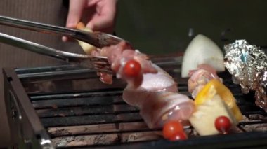 Grilled food of family celebration anniversary. Family have dinner party in garden. Outdoor camping activity relax with tasty food and spend time with cute relatives cross generation gap. Divergence.