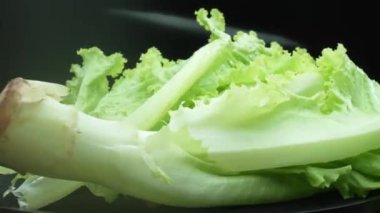 Makrografi, taze marul yaprakları siyah arka planda göze çarpar, çarpıcı bir görsel kontrast yaratır. Her yakın çekim marulun karmaşık detaylarını ve dokusunu yakalar. Geliştirilebilir.