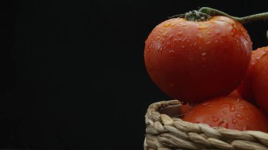 Macrography, tomatoes nestled within a rustic wooden basket are showcased against a dramatic black background. Each close-up shot captures the rich colors and textures of the tomatoes. Comestible. clipart