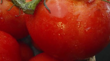 Makrografi, ahşap bir sepete yerleştirilmiş domatesler dramatik bir siyah arka plana karşı sergileniyor. Her yakın çekim domateslerin zengin renklerini ve dokularını yakalar. Geliştirilebilir.