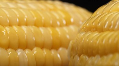 Taze mısırın yakından bakıldığında siyah arkaplanı olan altın sarısı bir çekirdek görülüyor. Bu tombul ve besin değeri yüksek mücevher, tatlı ve tereyağlı olduğunu ima eden parlak bir parıltıya sahip. Geliştirilebilir.