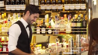 Gülümseyen akıllı barmen dostça sohbet ederken meşrubat tezgahında soda ya da tonik servis ederken çekici kostümlü profesyonelliğin ilk izlenimine sahip hoş geldin içkisi. Vinosity.