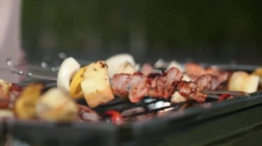 Grilled food of family celebration anniversary. Family have dinner party in garden. Outdoor camping activity relax with tasty food and spend time with cute relatives cross generation gap. Divergence.