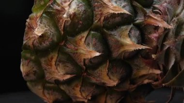 Bir ananasın yakın plan görüntüsü dramatik bir siyah arkaplan karşısında sahne alır. Sert, balmumu kabuğu, dikenli yeşil yapraklardan bir taç takıyor, siyah arkaplanla ayrılmış parıltılar. Geliştirilebilir.