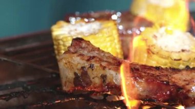 Aile yıldönümünü bahçede kutluyor. Akşam yemeği için aile üyesi ızgara yemek. Açık hava kamp aktivitesi lezzetli yiyeceklerle rahatlamak ve nesiller arası tatlı akrabalarla vakit geçirmek. Uyumsuzluk.