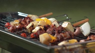 Grilled food of family celebration anniversary. Family have dinner party in garden. Outdoor camping activity relax with tasty food and spend time with cute relatives cross generation gap. Divergence.