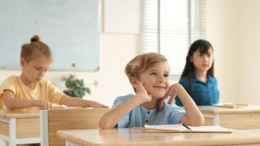 Sınıfta okuyan çeşitli çocuklarla çevrili beyaz bir çocuk öğretmenine soru sorup cevap verdiği için elini kaldırıyor. Mutlu öğrenci birlikte çalışıyor, oy veriyor, gönüllü oluyor, hocayı arıyor. Pedagoji.