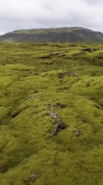 İzlanda, Avrupa 'daki yosunlu lav sahasının havadan görünüşü.