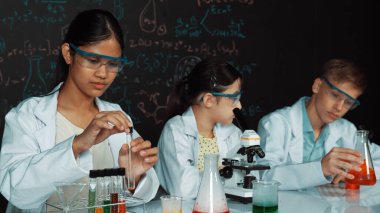 Öğrenci tahtada teoriyle deney yaparken güzel bir kız mikroskop altında araştırma yapıyor. Genç bilim adamı renkli çözeltiyi deneysel ekipmanlarla inceledi. Öğretim.