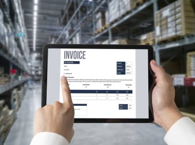 Muhasebe uygulamasından gelen fatura bilgisayar ekranında. Şirket işlerinin finans ve bütçesi için bilgisayar programı. Rahatça..