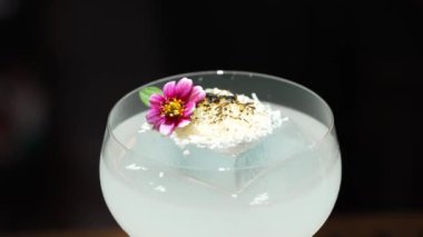 Dönüşümlü karışık kremalı votka kokteyl bardağı üzerine pembe çiçek ve buzda yanmış şeker, alkol serinletici vitrin odaklı reklamı için özel içecek listesi yapıyor. Vinosity.