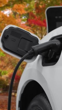 İlerici çevre dostu elektrikli araba konsepti, temiz ve sürdürülebilir enerji şarj istasyonundan güç alan EV otomobili turuncu sonbahar ormanlarının arka planına karşı.