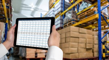 Bilgisayar ekranındaki muhasebe yazılımı finansal hesap tablolarını ve kurumsal iş dengelerini gösteriyor. Muhasebeciye iyi bir muhasebe sunuyor.