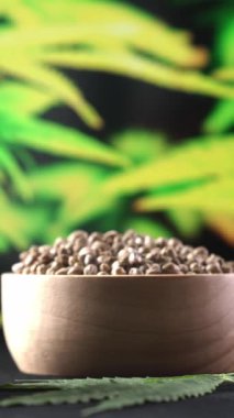El basıncı pipeti CBD yağı yasallaştırılmış kenevir yağının içine düşer. Esrar laboratuvarı, kenevir tohumu, marihuana bitkisinden elde edilen esrar sıvısı. Kopyalama alanı.