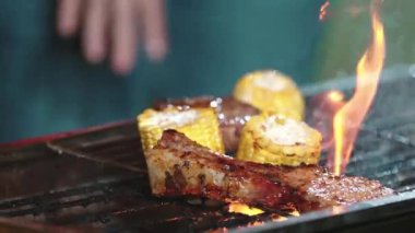 Aile yıldönümünü bahçede kutluyor. Akşam yemeği için aile üyesi ızgara yemek. Açık hava kamp aktivitesi lezzetli yiyeceklerle rahatlamak ve nesiller arası tatlı akrabalarla vakit geçirmek. Uyumsuzluk.