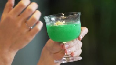 Çekirge kokteyli ile gülümseyen güzel bir kadının portresi. Özel gece partisi gece kulübünde grup arkadaşlarıyla canlı sohbetler. Vinosity.