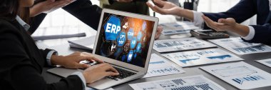 Pazarlama stratejisini planlamak için ERP girişimi kaynak planlama yazılımı