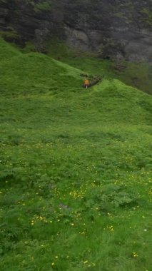 İzlanda 'daki büyülü Seljalandsfoss Şelalesi. Güney İzlanda 'nın çevre yolunun yakınında yer almaktadır. Görkemli ve görkemli, İzlanda 'nın en çok fotoğraflanan nefes kesici yerlerinden biri..