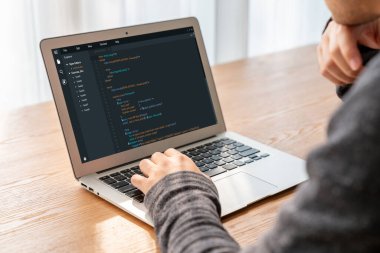 Model uygulama ve program kodlaması için bilgisayar ekranında yazılım geliştirme programlama