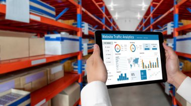 Computer software for website traffic analytics data on computer screen. Concept of SEO search engine optimization and customer targeting for online business snugly