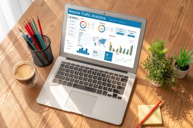 Computer software for website traffic analytics data on computer screen. Concept of SEO search engine optimization and customer targeting for online business snugly