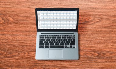 Bilgisayar ekranındaki muhasebe yazılımı finansal hesap tablolarını ve kurumsal iş dengelerini gösteriyor. Muhasebeciye iyi bir muhasebe sunuyor.