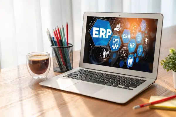 Pazarlama stratejisini planlamak için modern iş için ERP girişimi kaynak planlama yazılımı