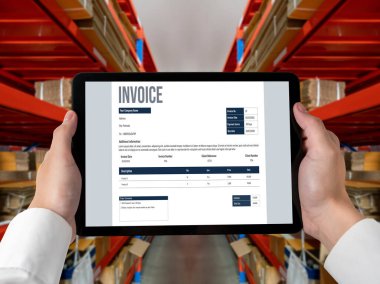 Muhasebe uygulamasından gelen fatura bilgisayar ekranında. Şirket işlerinin finans ve bütçesi için bilgisayar programı. Rahatça..