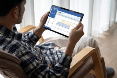 Calendar on computer software application for schedule planning for personal organizer and online business snugly