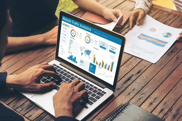Computer software for website traffic analytics data on computer screen. Concept of SEO search engine optimization and customer targeting for online business snugly