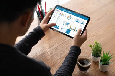 Computer software for website traffic analytics data on computer screen. Concept of SEO search engine optimization and customer targeting for online business snugly