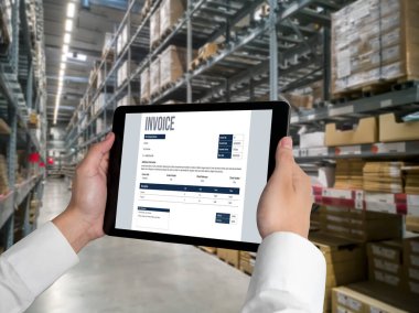 Muhasebe uygulamasından gelen fatura bilgisayar ekranında. Şirket işlerinin finans ve bütçesi için bilgisayar programı. Rahatça..