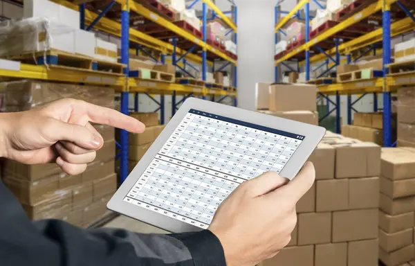 Bilgisayar ekranındaki muhasebe yazılımı finansal hesap tablolarını ve kurumsal iş dengelerini gösteriyor. Muhasebeciye iyi bir muhasebe sunuyor.