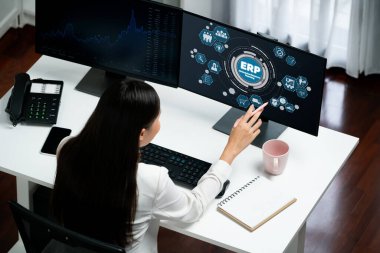 Pazarlama stratejisini planlamak için ERP girişimi kaynak planlama yazılımı