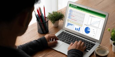 Spreadsheet document information financial startup concept. data and graphs in spreadsheet documents for online analysis project dashboard accounting digital snugly