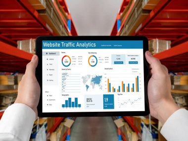 Computer software for website traffic analytics data on computer screen. Concept of SEO search engine optimization and customer targeting for online business snugly
