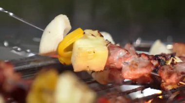 Grilled food of family celebration anniversary. Family have dinner party in garden. Outdoor camping activity relax with tasty food and spend time with cute relatives cross generation gap. Divergence.