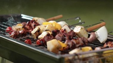 Grilled food of family celebration anniversary. Family have dinner party in garden. Outdoor camping activity relax with tasty food and spend time with cute relatives cross generation gap. Divergence.