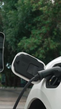 Elektrikli araba parkı ve şarj istasyonunun yanında şarj edilen enerji konseptinin sürdürülebilirliği. Çevresel koruma için yenilenebilir enerji tarafından kullanılan elektrikli araç.