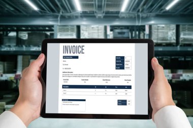 Muhasebe uygulamasından gelen fatura bilgisayar ekranında. Şirket işlerinin finans ve bütçesi için bilgisayar programı. Rahatça..